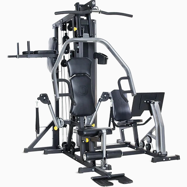 Daugiafunkcinis treniruoklis Horizon Fitness Torus 5 PRO - 80kg